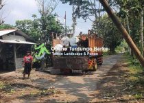Jual Pohon Kamboja Merah di Mataram
