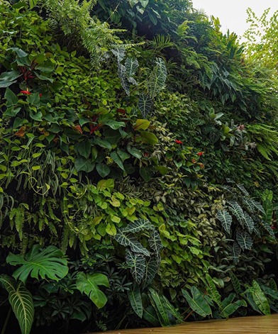 Taman Vertikal Garden Minimalis untuk Dinding Rumah 2025 1 Taman Vertikal Garden