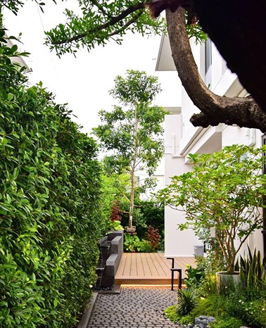 Taman Vertikal Garden Minimalis untuk Dinding Rumah 2025 2 Taman Vertikal Garden