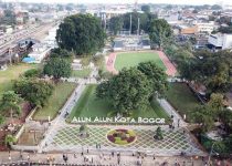 Suplier Pohon Taman Kota Bogor