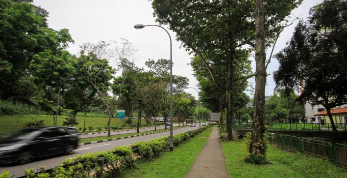 Jasa Landscape Banjar