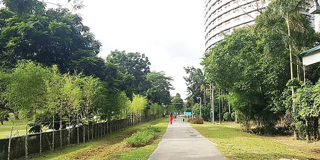 Kontraktor Landscape Taman Subang